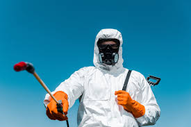 Professional Pest Control in Meadow Vista, CA